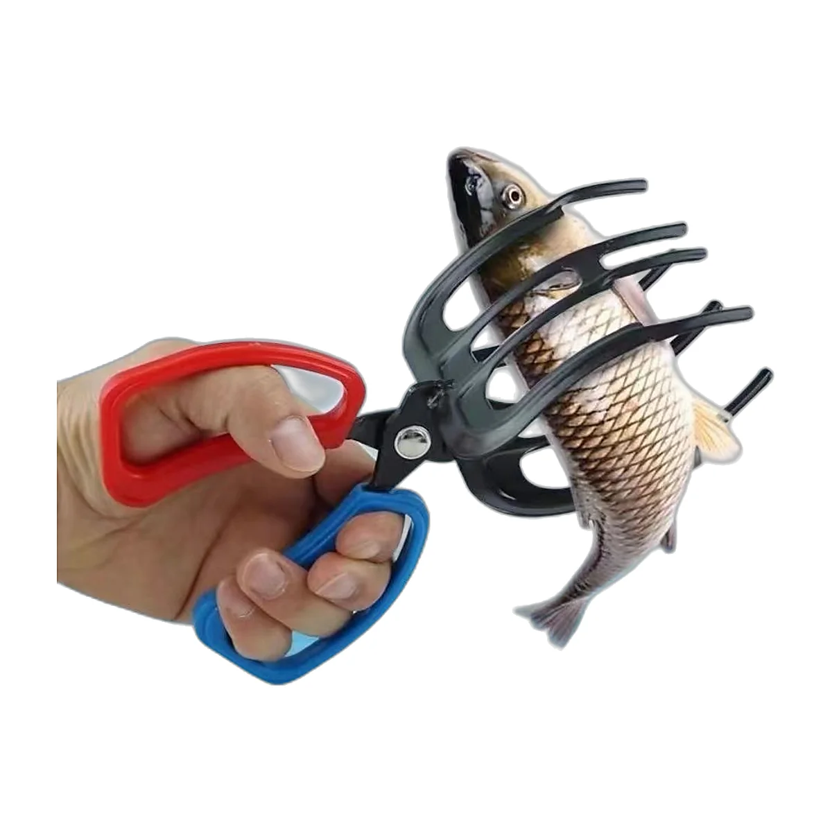 Pinza per tenere il pesce a 3 artigli (4)